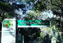 Cachoeira Pedro David – Distrito de São Francisco Xavier