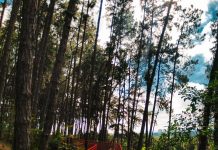 Parque Alberto Simões