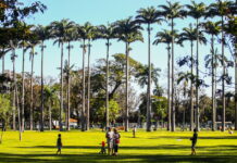 São José oferece suporte para plantio de árvores