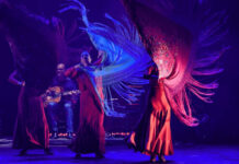 XXI Festival Internacional Flamenco traz estrelas da Espanha para São José dos Campos em setembro