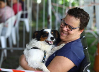São José tem inscrições para castração gratuita de pets